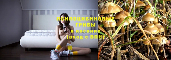 MDMA Белокуриха