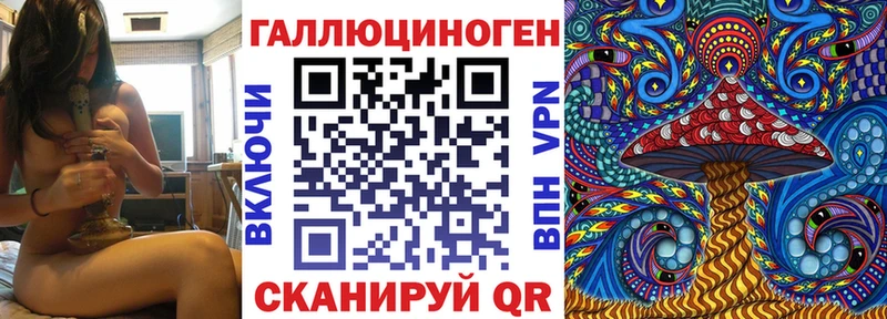 Псилоцибиновые грибы Cubensis  сколько стоит  Невьянск 